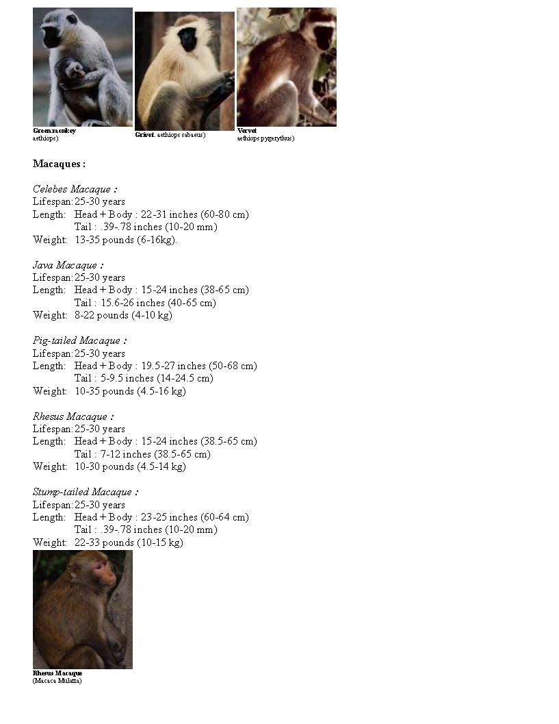 Page3