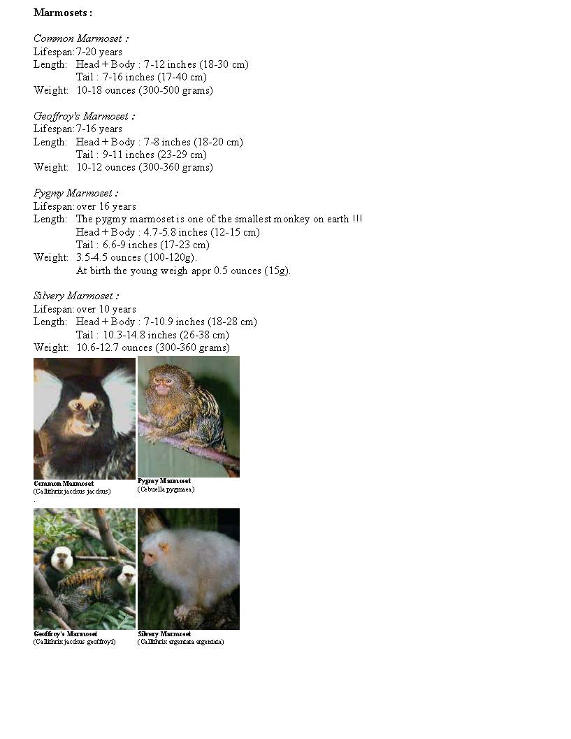 Page4