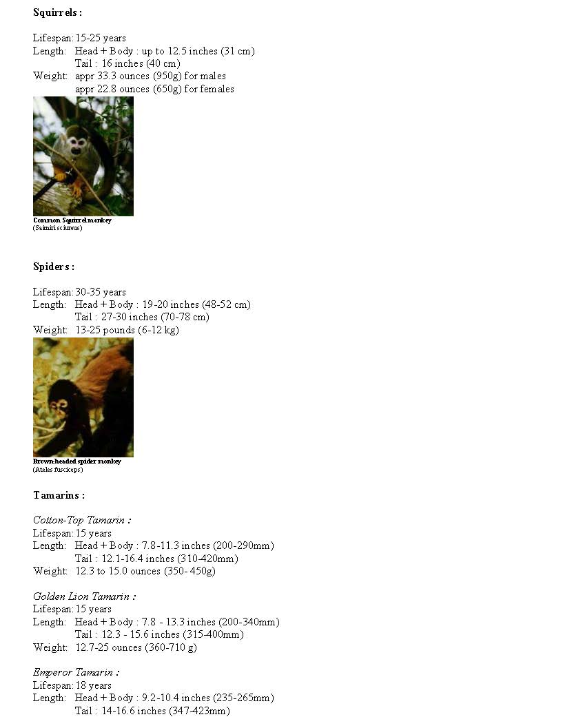 Page5